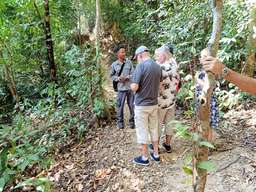 Langkawi Rainforest Trekking, 921.126 VND