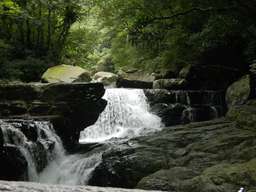 Tickets for Sanxia Full Moon National Forest Recreation Area in New Taipei City, AU$4