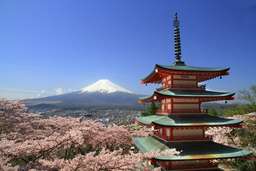 Mt Fuji + Kawaguchiko Tour by Limon Bus - 1 Day, THB 3,704.43