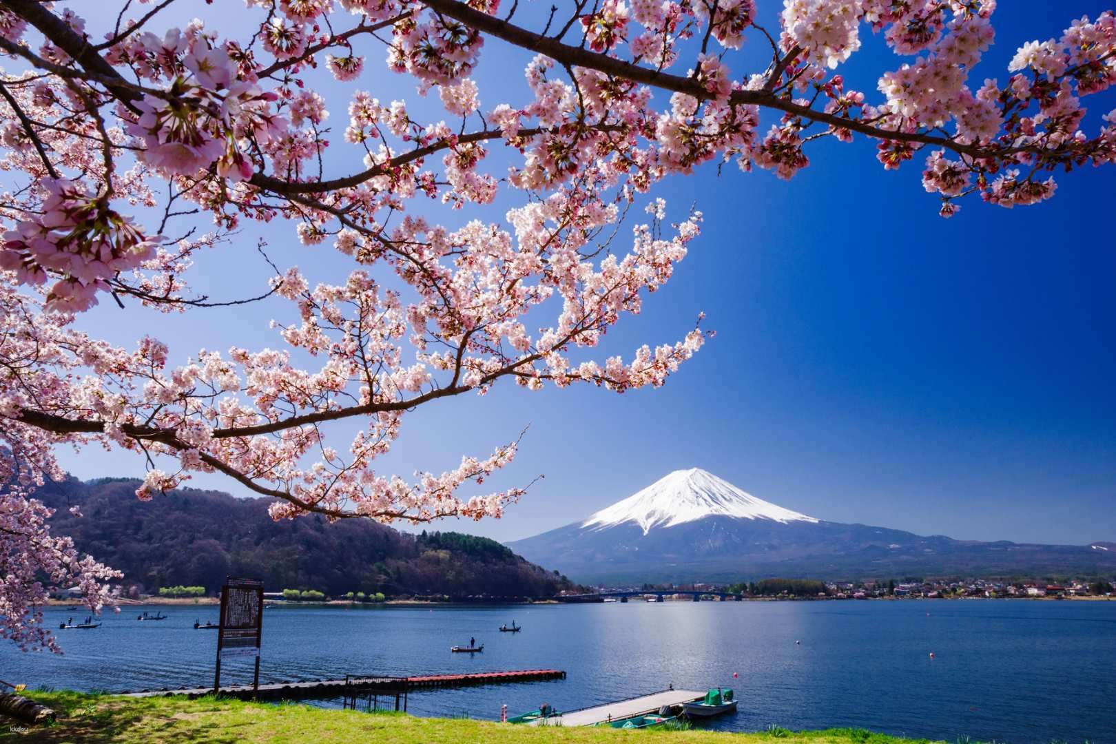 Buy [Mt. Fuji One Day Tour] Fujiyoshida Honcho Street & Arakurayama ...