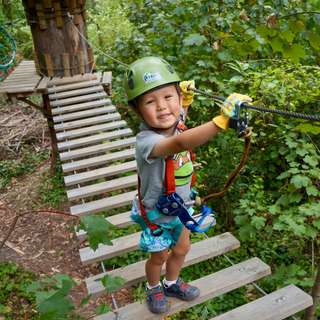 Treetops Adventure Belgrave Park Tickets, AU$69