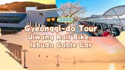 Gyeonggi-do Day Tour: Jebudo Cable Car, Uiwang Rail Bike, and Starlight Village or Grilled Shellfish in Oido | South Korea, USD 70.20