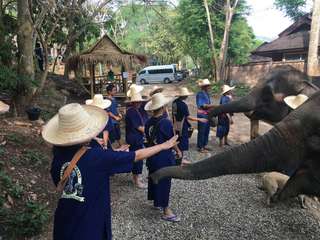 HUG Elephant Conservation Camp + Long Neck Karen - Half-Day Tour  (by CM Paradise Tour)