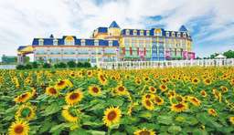 Million Sunflower Garden: Admission Ticket | Guangzhou, China, Rp 100.056