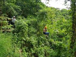 Hualien Wild Monkey Adventure Forest｜Canopy Adventure & Jungle Leap Experience