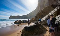 Great Ocean Road Reverse Tour, USD 108.65