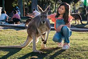 Trải Nghiệm Tại Trang Trại Paradise Country Úc (Queensland)