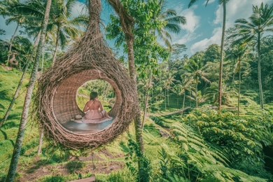 Agrotourism in Ubud