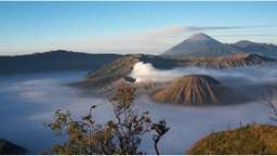 Bromo Sunrise and Savannah Trip By Kanigara Jaya Raya, USD 33.78