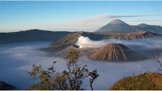 Bromo Sunrise and Savannah Trip By Kanigara Jaya Raya, ₱ 2,284.97