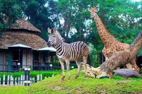 Hua-Hin: Safari & Adventure Park Admission Ticket | Thailand