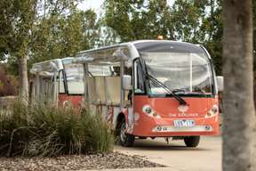 Royal Botanic Gardens Cranbourne Tour