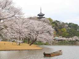 Sankeien Garden Admission Ticket | Instant Confirmation | Yokohama, Rp 94.286