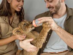 Lion Land Experience Phuket Tickets, SGD 32