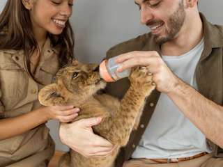 Lion Land Experience Phuket Tickets, SGD 35