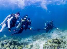 Fun Dives in Cebu for Licensed Scuba Divers with Roundtrip Transfer | Philippines