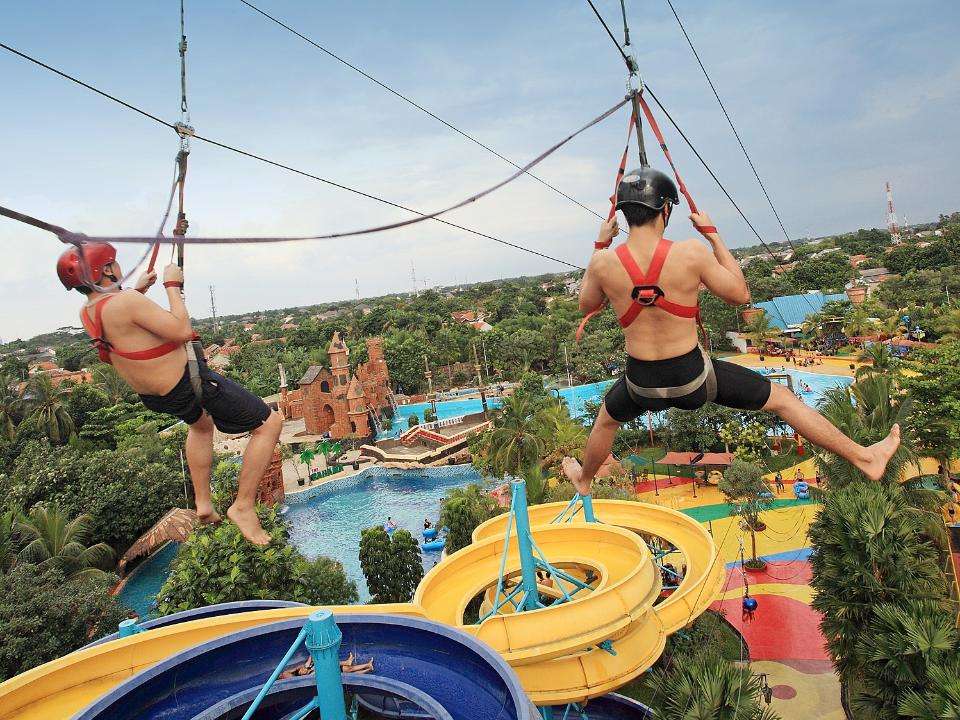 Ocean Park BSD Tickets : Harga Promo 2021 di Traveloka Xperience.