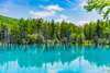 Appreciate Blue Pond, Biei (about 30-40 minutes)