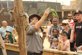 Sydney Zoo Entry Ticket | New Sales Wales 2