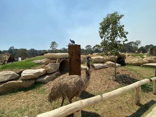 Sydney Zoo Entry Ticket | New Sales Wales 1