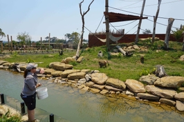 Sydney Zoo Entry Ticket | New Sales Wales 5