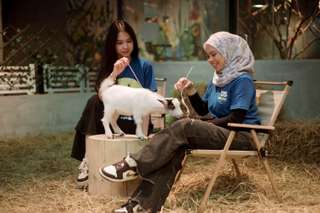 Just Farm by Just Pets Megastore Ticket, ₱ 640.87