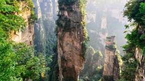 One-Day Zhangjiajie Private Tour of Zhangjiajie National Forest Park and Tianzi Mountain