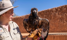 Alice Springs Desert Park Tickets 3