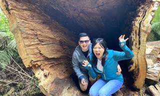 Great Ocean Road Private Scenic Tour