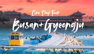 Busan+Gyeongju One Day Tour｜Busan Gamcheon+Sky Capsule+Gyeongju Famous Tourist Spot (Depart from Busan)