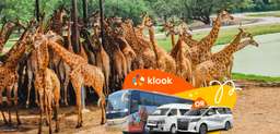 Bangkok Safari World Shared and Private Transfers Service Tour, Rp 1.153.066