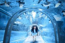[China] Shanghai Changfeng Ocean World Tickets, USD 20.73