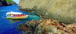 Bruny Island Cruise with Pick up from Kettering, 10.510.472 VND