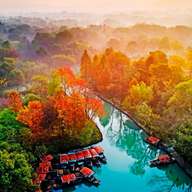 Hangzhou’s Urban Oasis: Poetic Xixi Wetland Half-Day Tour