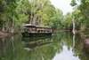 Take a boat ride on Hartley’s Lagoon to see crocodiles during the Wetlands Cruise