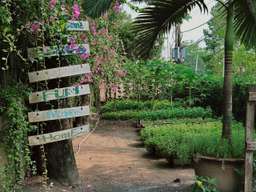 Private Farm Tour & Cooking Class in Ho Chi Minh City, Rp 864.238