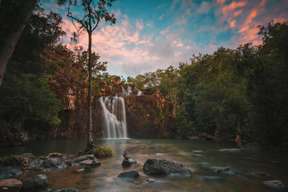 [Eco Tour] Falls to Paradise Day Tour｜Queensland