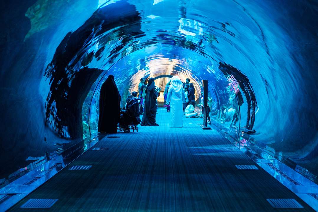 Tiket Dubai Aquarium and Underwater Zoo - Harga Promo May 2024 Terbaru