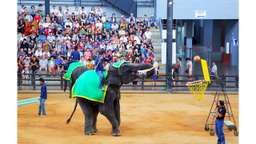 Thailand Bangkok Pattaya 4D3N Thai Traditional & Elephant Show Tour Package, USD 129.85