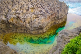 day trip nusa penida island 4