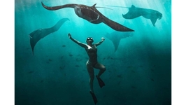 day trip nusa penida island 5