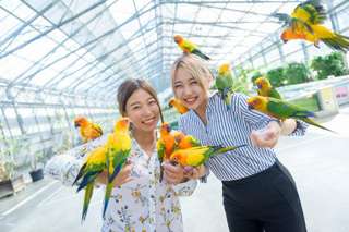 Kakegawa Kachouen: Kakegawa Flower and Bird Park | Japan