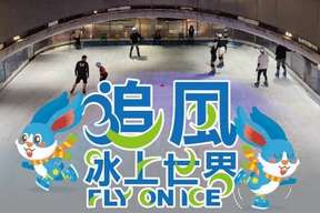 Fly on Ice Ticket in Tainan