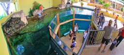 Crocosaurus Cove Darwin General Admission Tickets, USD 79.15