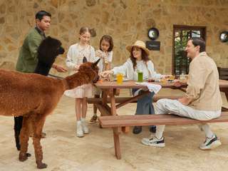 Bali Farm House Tickets, ₱ 439.84