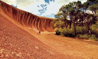 Wave Rock, York, Wildflowers & Aboriginal Culture Day Tour from Perth | Western Australia