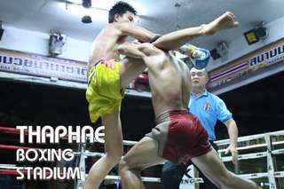 Muay Thai Live at Thapae Stadium | Chiang Mai