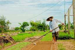 Tour Nửa Ngày | Tour Xe Đạp Và Trải Nghiệm Làm Nông tại Làng Trà Quế, 565.464 VND
