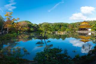 Kyoto and Nara Full-Day Tour from Kyoto