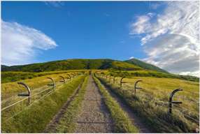 Taipei Yangmingshan Private Day Tour: Qingtiangang Grassland, Datunshan & Lengshuikeng | Taiwan